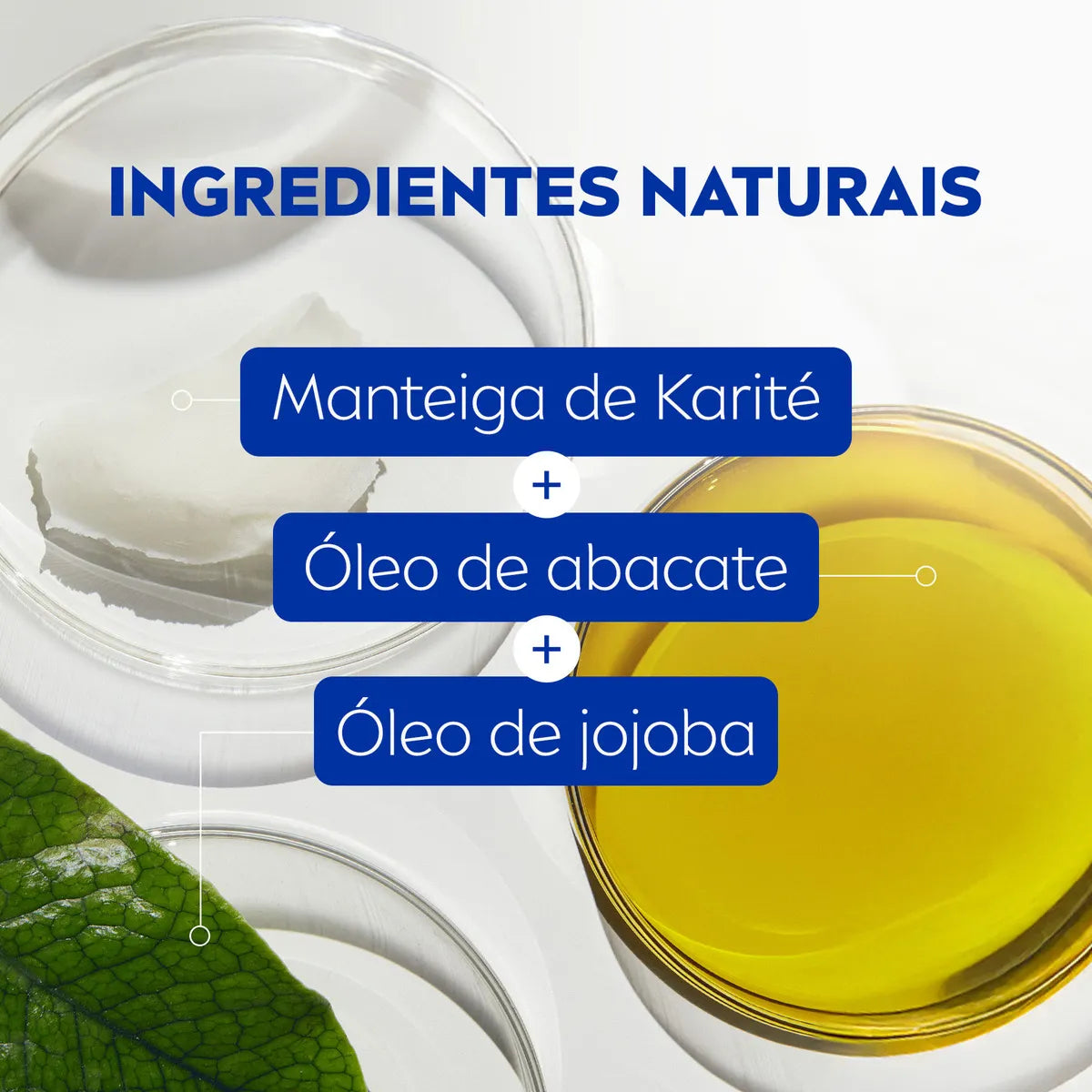 Protetor Labial Nivea FPS 10 Morango 4,8g